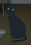 Tako