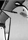 Punyama Punpun Papa