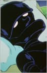 Subari