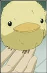 Hibird
