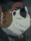 Ukogi