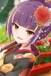 Daru Dayu