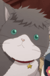 Nyanko Big