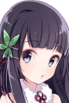 Yuzuriha