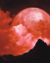 Crimson Moon