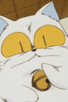 Maomolin