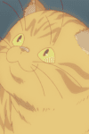 Bakeneko