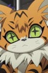 Meicoomon