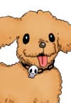 Hiroshi