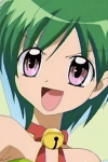 Arara