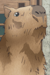 Capybara