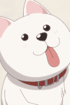 Inu