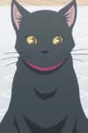 Kuro Neko