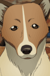 Wanko
