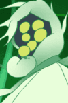 Dr. H