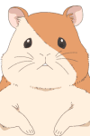 Hamcha Starham