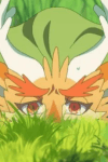 Kirin