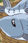 Sakana Ani