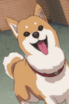 Komugi
