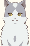 Haibuchi