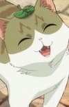 Haneko