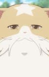 Yondaime Moshamosha