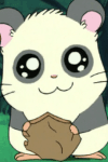 Panda-kun