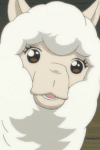 Alpaca