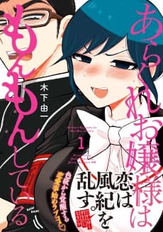 Arakure Ojousama wa Monmon Shiteiru