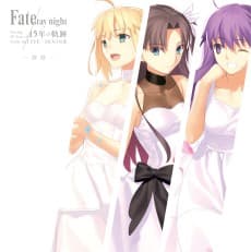 Fate/stay night: 15-nen no Kiseki TYPE-MOON Ten
