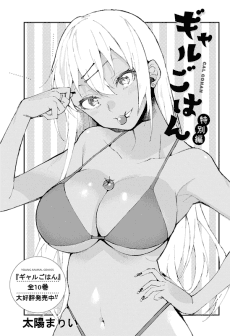 Gal Gohan Tokubetsu-hen