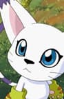 Tailmon