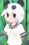 Giant Panda
