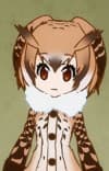 Washi Mimizuku