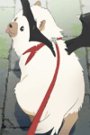 Osushi