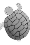 Wakaba