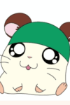 Kaburu-kun