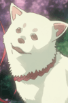 Shiro
