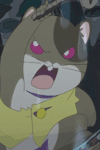 Hamster