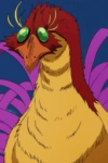 Phoenix Otoko