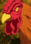 Shamo
