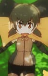Frilled Lizard